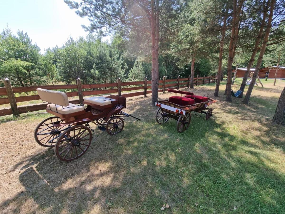 Domki Wrzosowe Wzgorza Nr2 Horyniec Exteriér fotografie