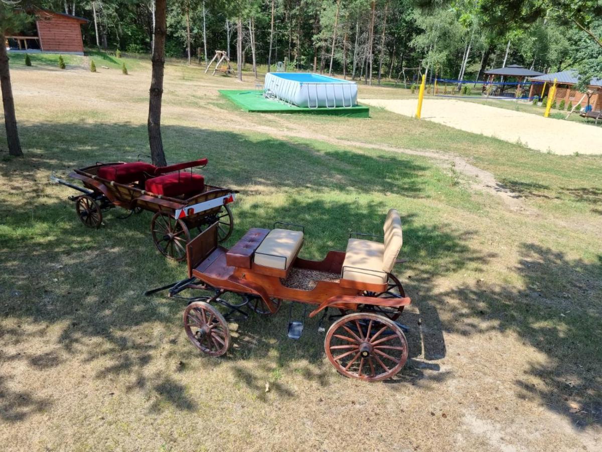 Domki Wrzosowe Wzgorza Nr2 Horyniec Exteriér fotografie